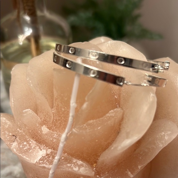 Silver Hoop Earrings - Picture 1 of 5